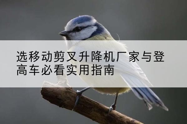 巴中电动升降机厂家-选移动剪叉升降机厂家与登高车必看实用指南