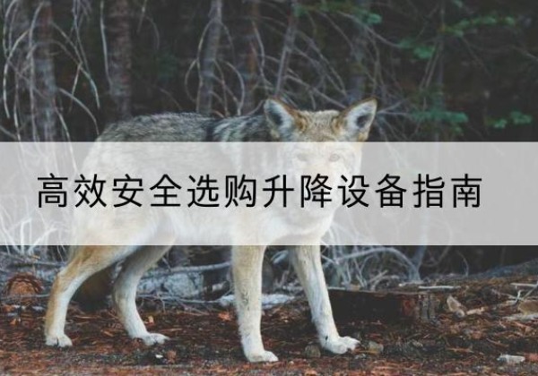 巴中升降货梯厂家推荐-*安全选购升降设备指南